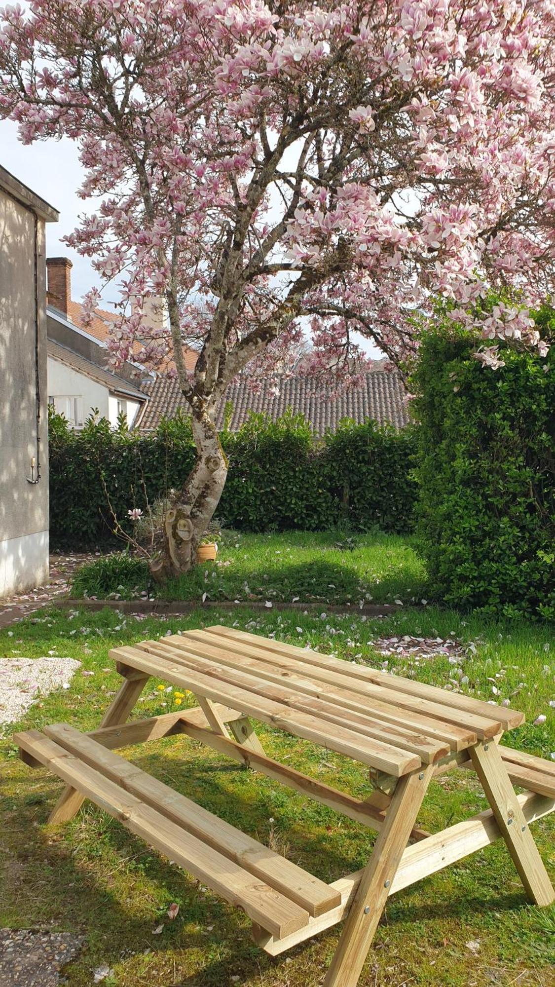 La Maison Barent - Proche Des Grottes De Rouffignac ภายนอก รูปภาพ
